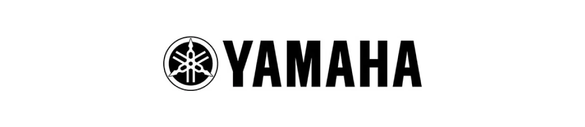 str(logo[y])