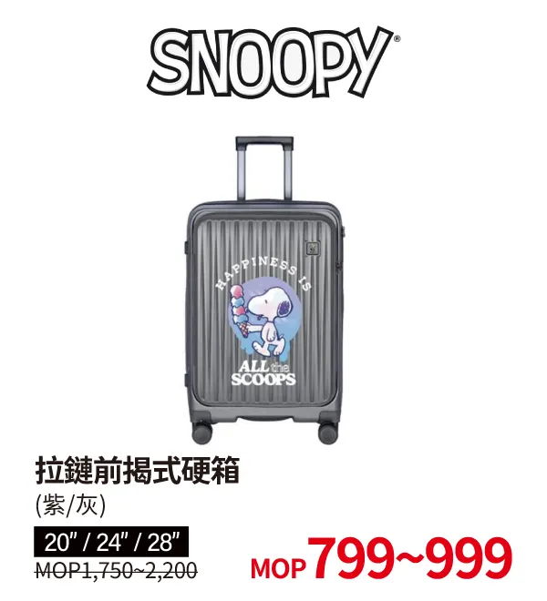 Luggage_TFD-9.webp