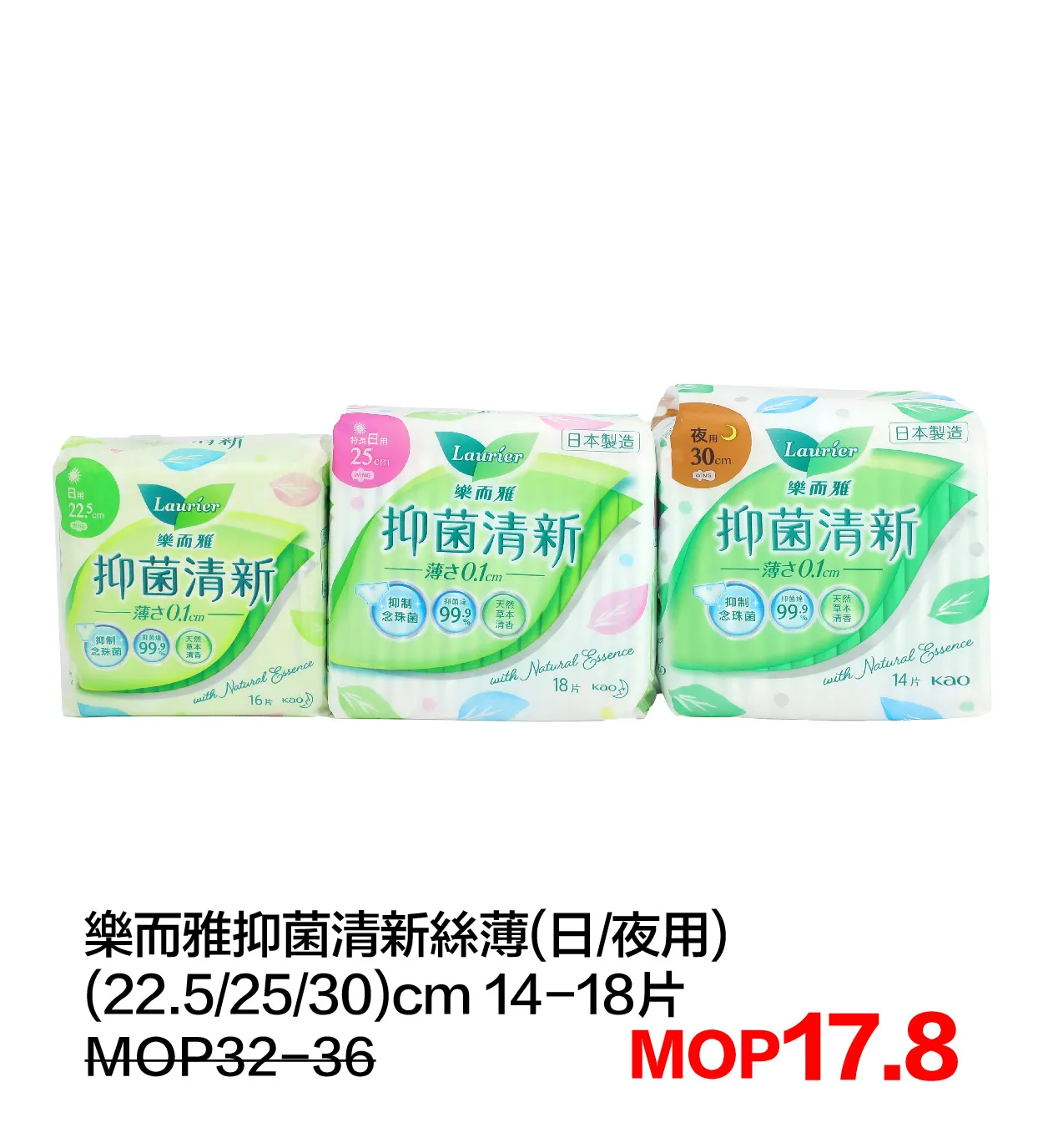 SM_g-19.webp