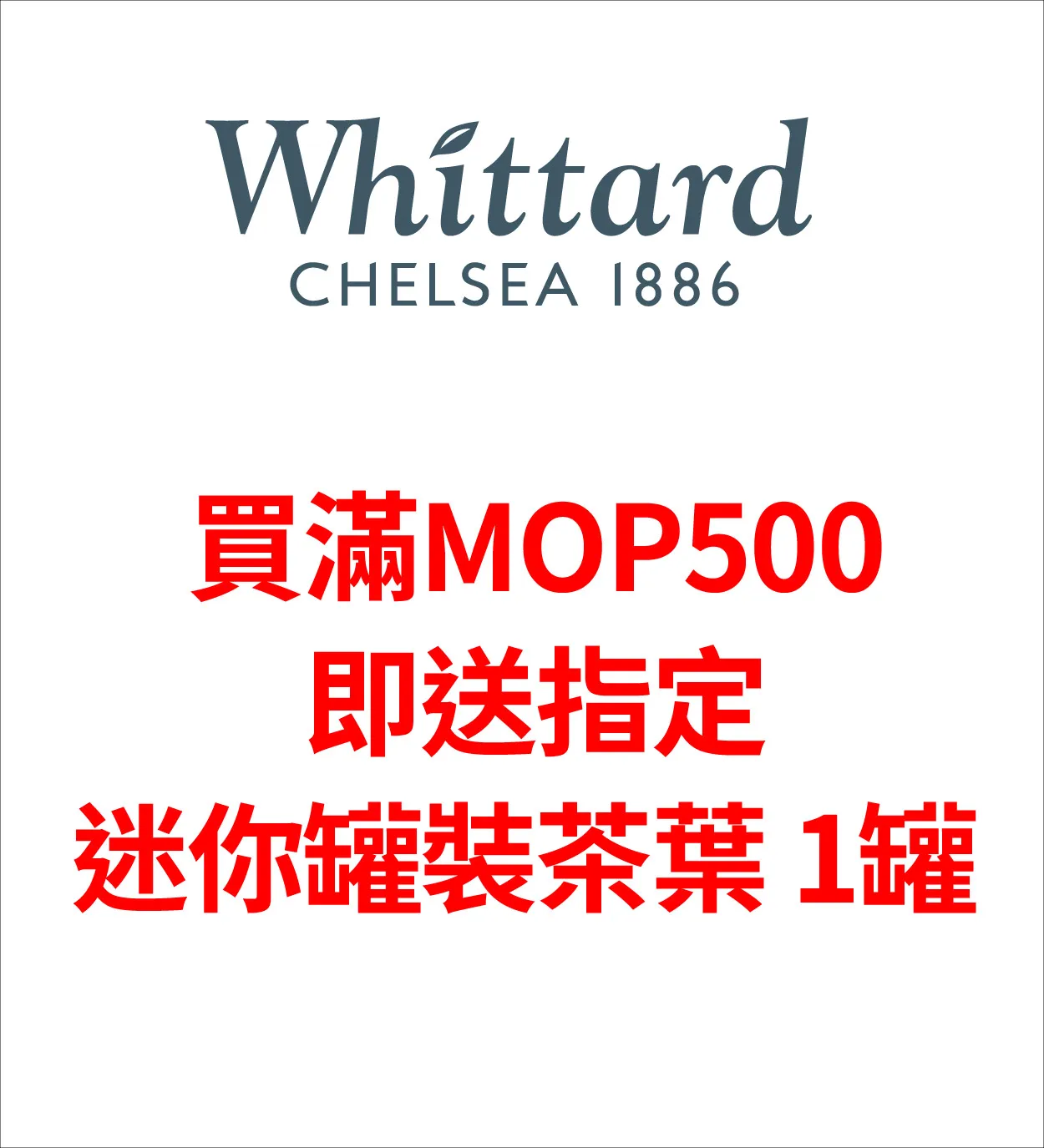 tp1-39.webp